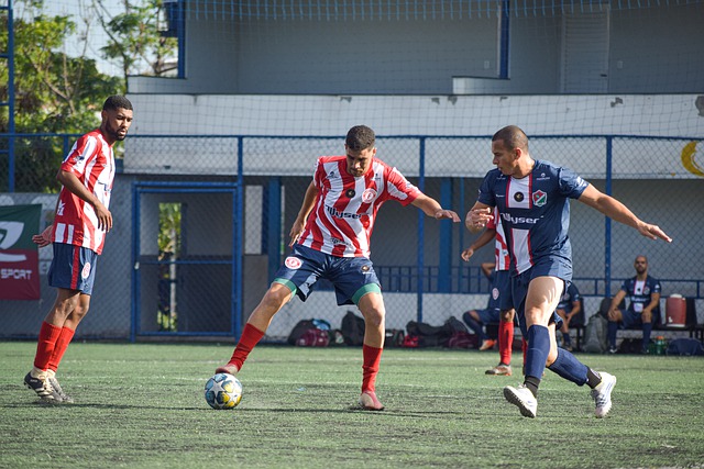 与此形成鲜 与此形成鲜