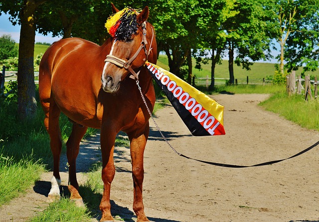 這個巨型T 這個巨型T