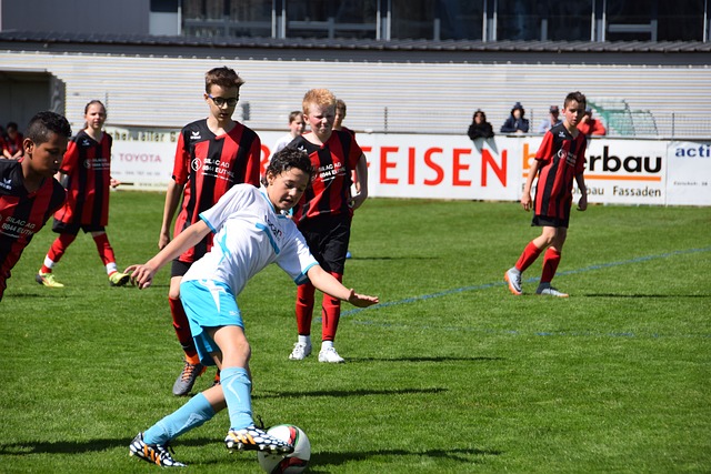 是一个引人 是一个引人