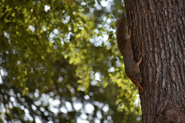 进入新世纪 进入新世纪